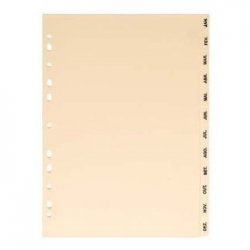 Separadores A4 Cartolina 12 (Jan a Dez) 1721052