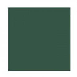 Cartolina 50x65cm Verde Amazonas 185g 1 Folha Canson 17240240