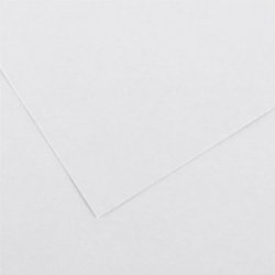 Cartolina 50x65cm Branco 180g 1 Folha 17205949/UN