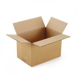 Caixa Cartão Simples 260x210x250mm 20un 2625